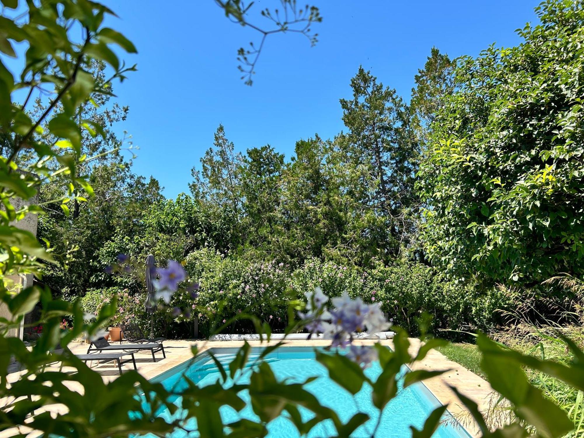 Provenzalisches Landhaus Les Martinets Am Fusse Des Mont Ventoux Villes-sur-Auzon Экстерьер фото